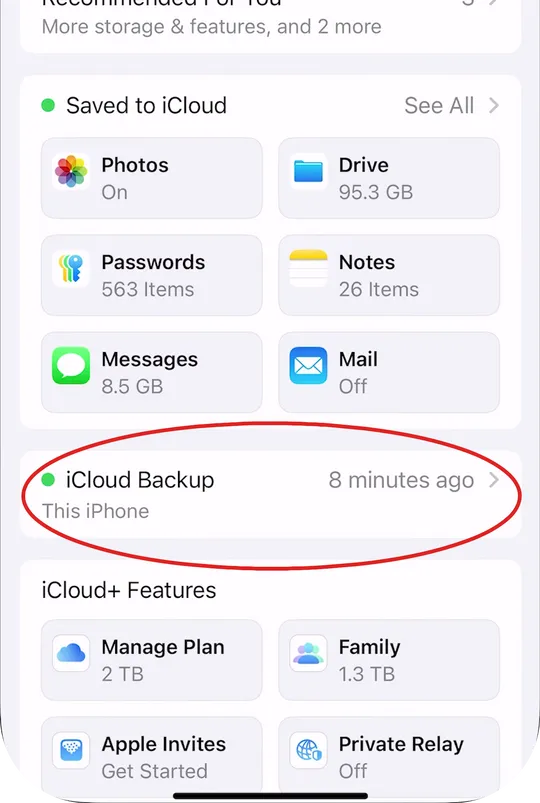 Backup settings section in iPhone settings