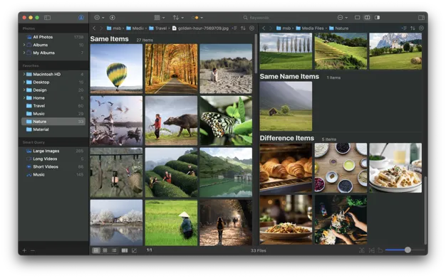 Schnittstelle des Bildverwaltungsprogramms ImageOne