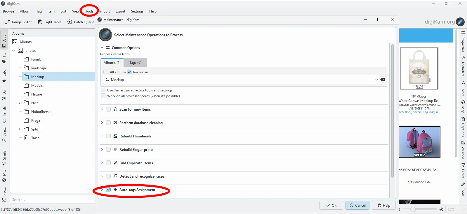 Position der automatischen Tagging-Funktion in DigiKam