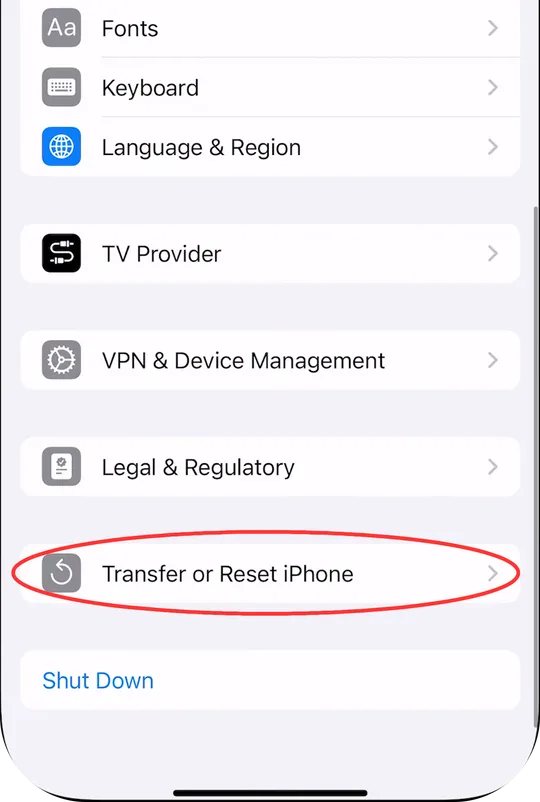 iPhone Reset Function