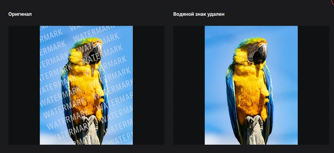 Удаление водяных знаков с помощью Watermarkremover.io
