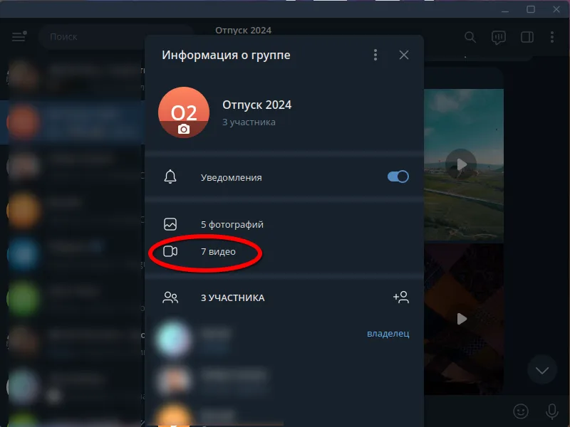 Дополнительные сведения о группе в Телеграм