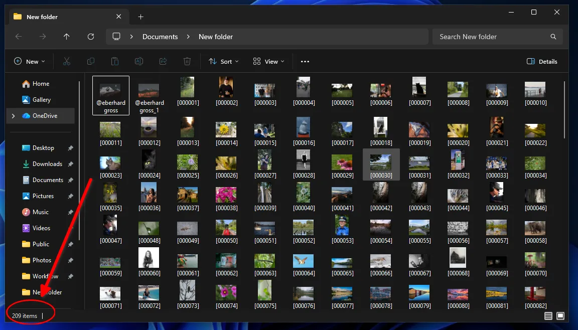 Итоговый результат восстановления «навсегда» удаленных фотографий Recuva