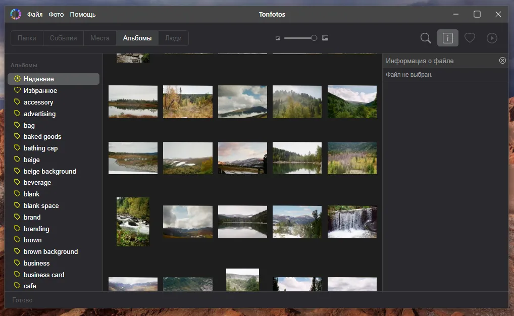 «Альбомы» в программе Tonfotos