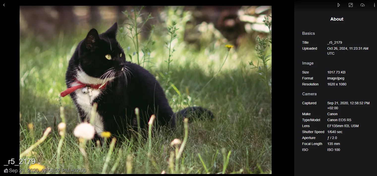 Lychee – Dateieigenschaften