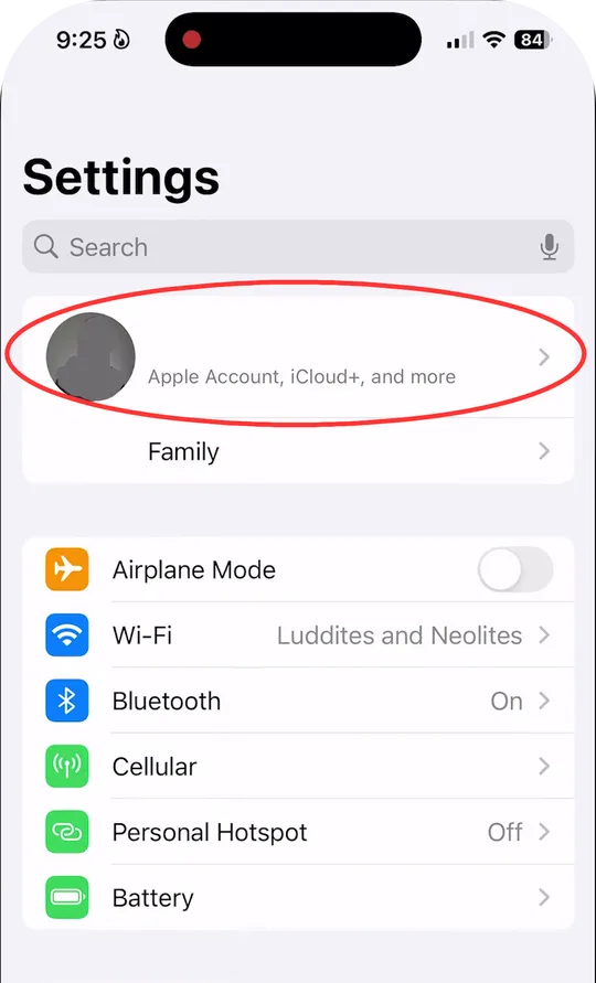 Selecting a profile in iPhone settings