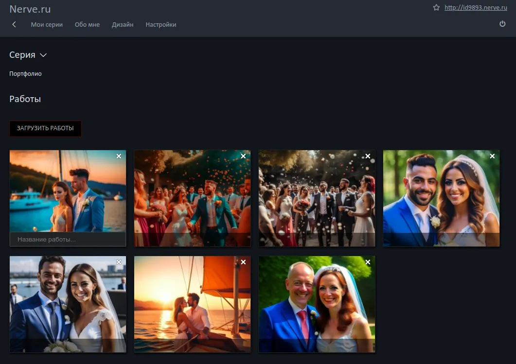 Панель управления портфолио фотографа Nerve