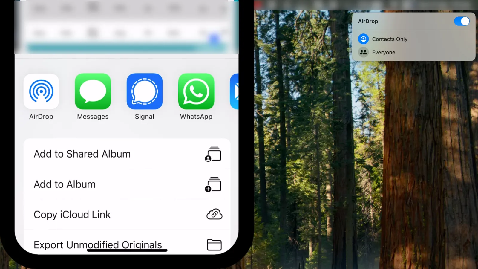 Импорт фотографий из iPhone на macOS через AirDrop