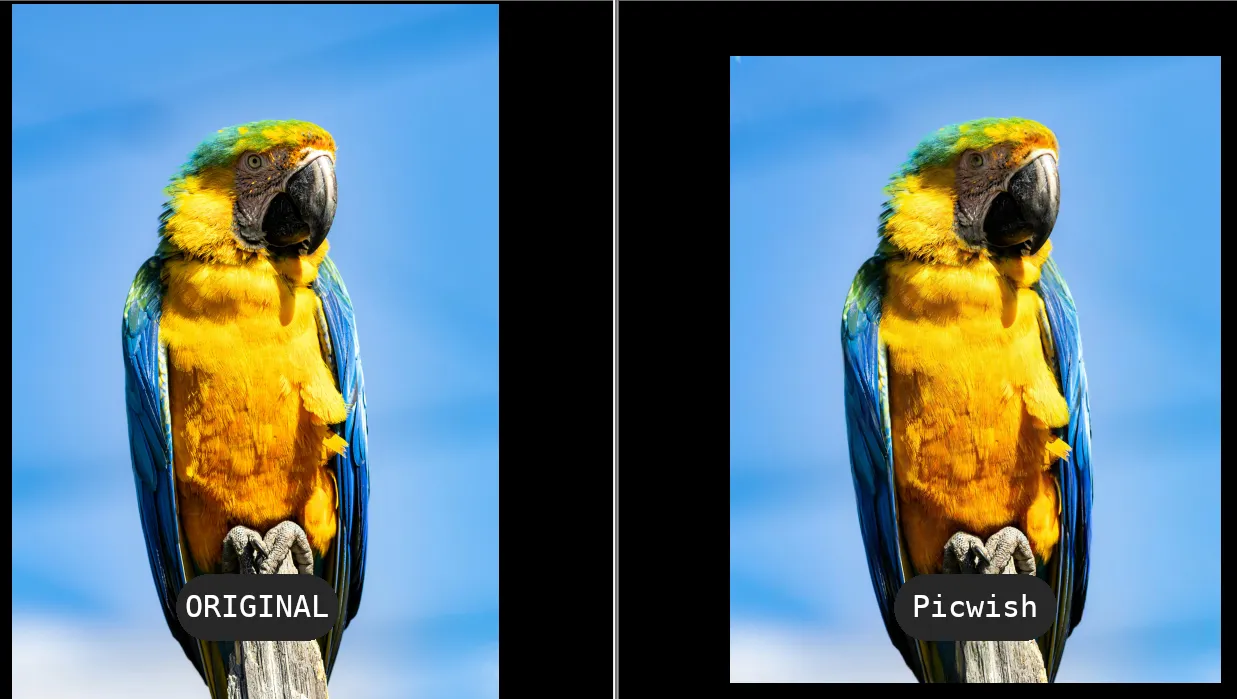 Удаление водяного знака с помощью picwish.com