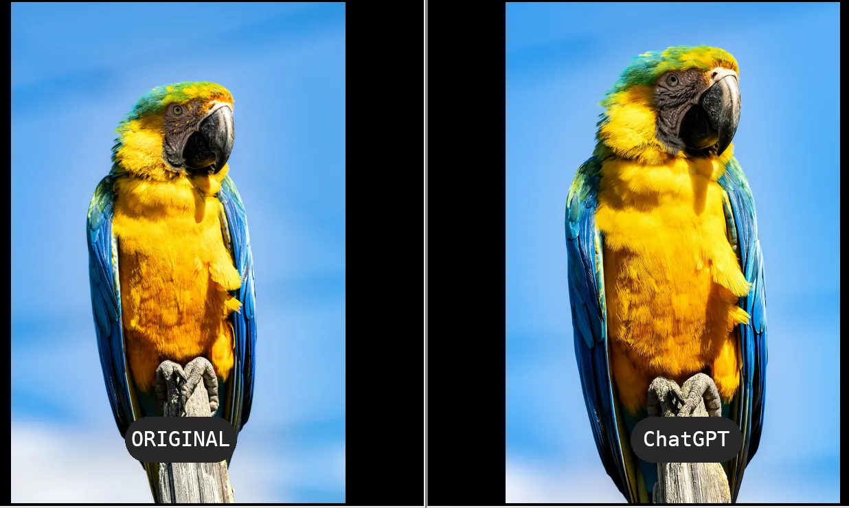 Результат работы ChatGPT по удалению водяного знака