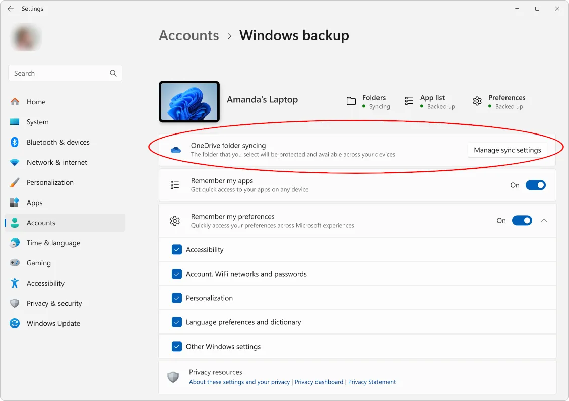 Windows 11 Backup Settings