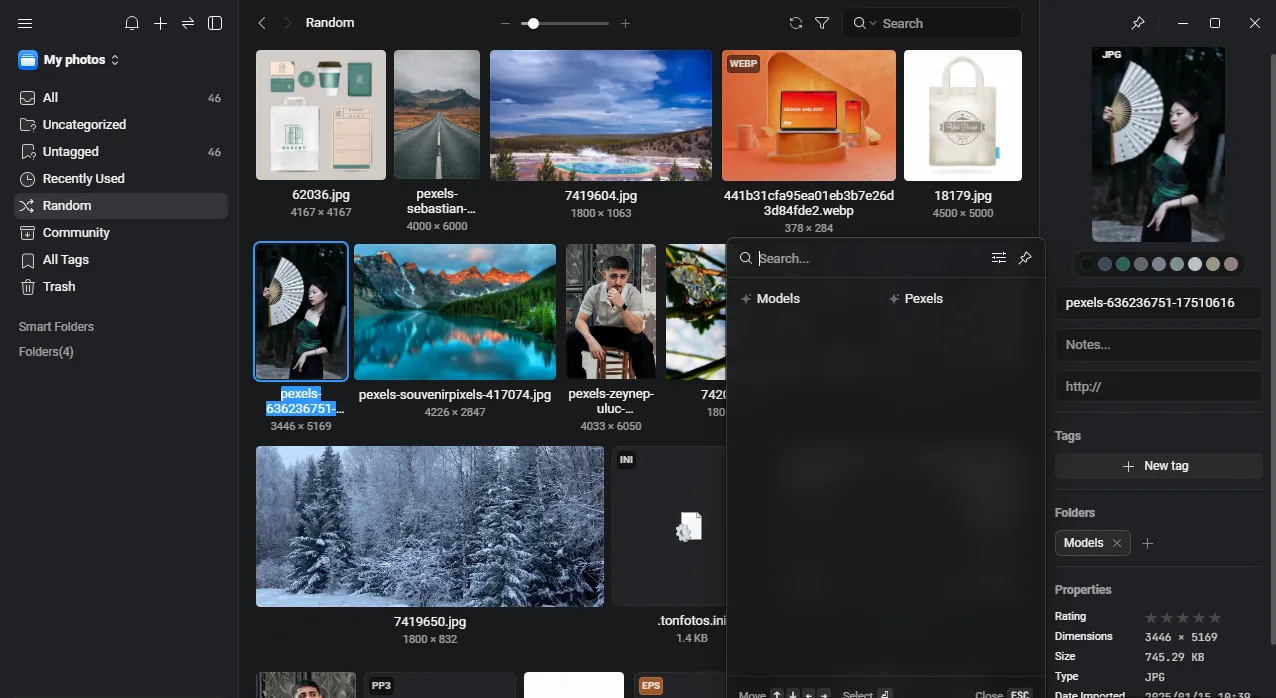 Eagle-Foto-Tagging-Software-Schnittstelle