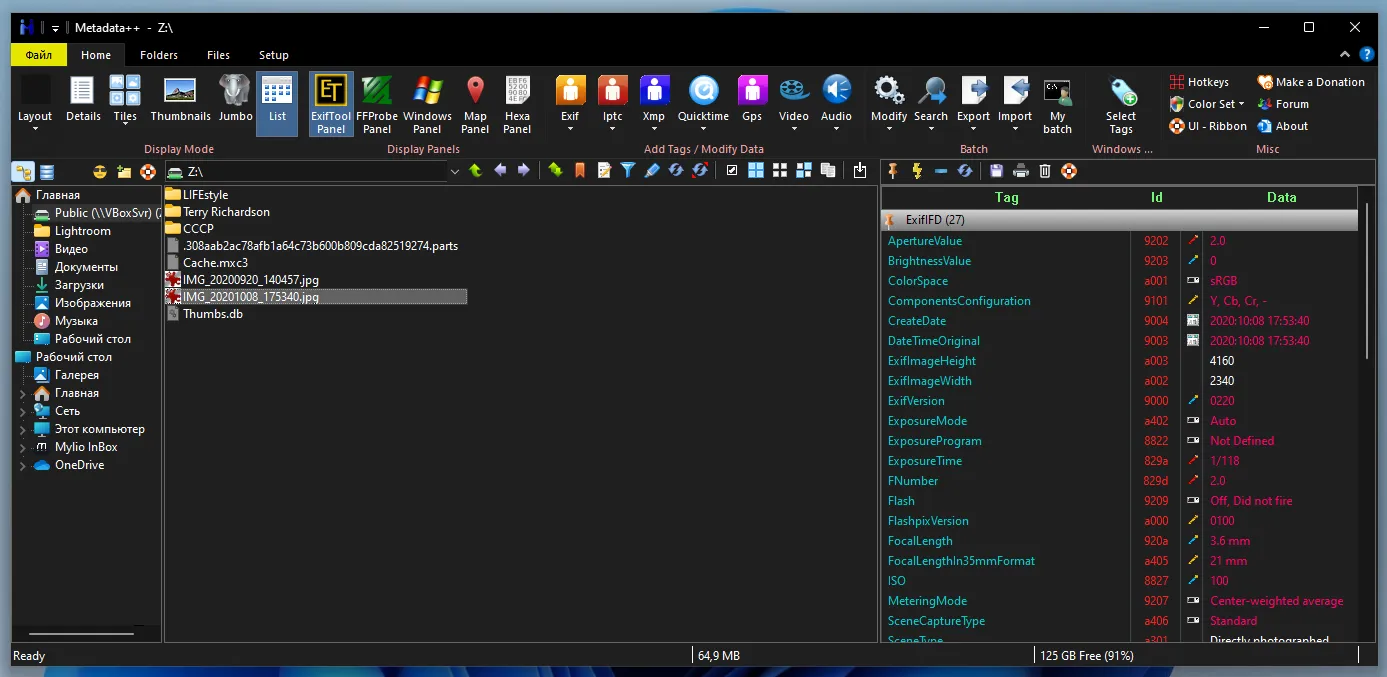 Program window for viewing and editing Metadata++ metadata