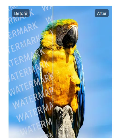 An example of the watermark removal service Dewatermark.ai