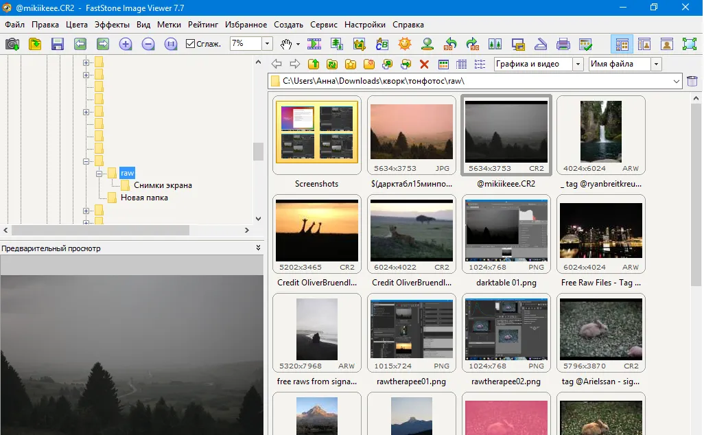 Интерфейс программы FastStone Image Viewer