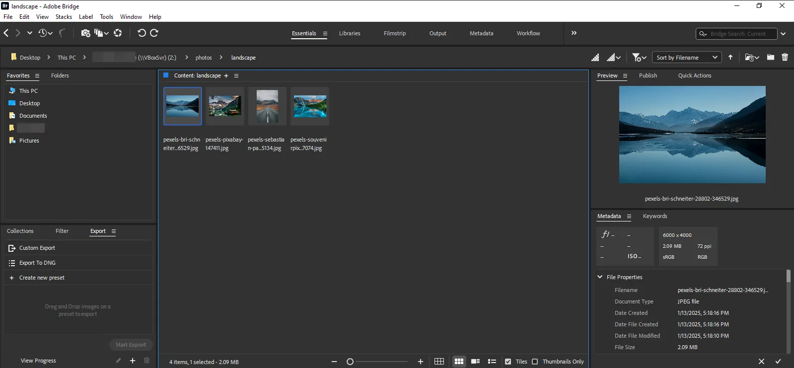 Adobe Bridge-Fotomanager-Schnittstelle