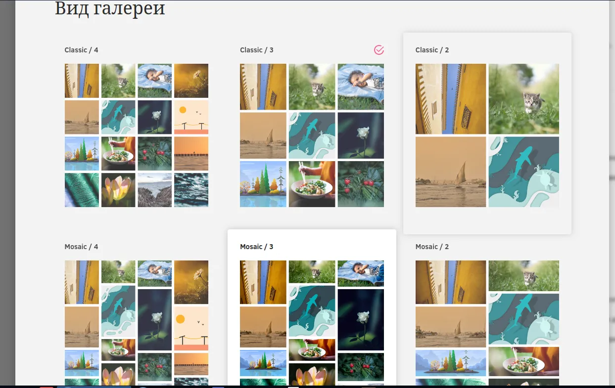 Варианты организации галереи в портфолио на сервисе Portfolios