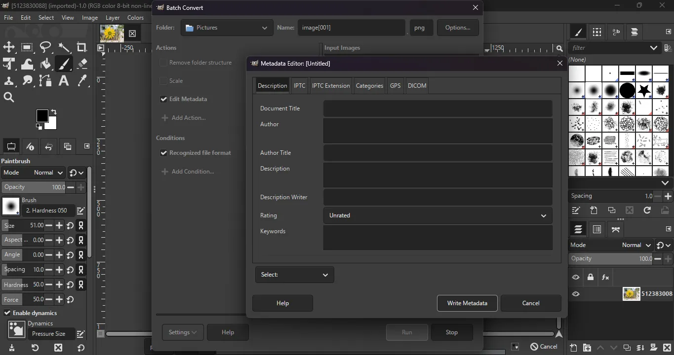 Batcher-Plugin und Metadatenbearbeitungswerkzeug in GIMP