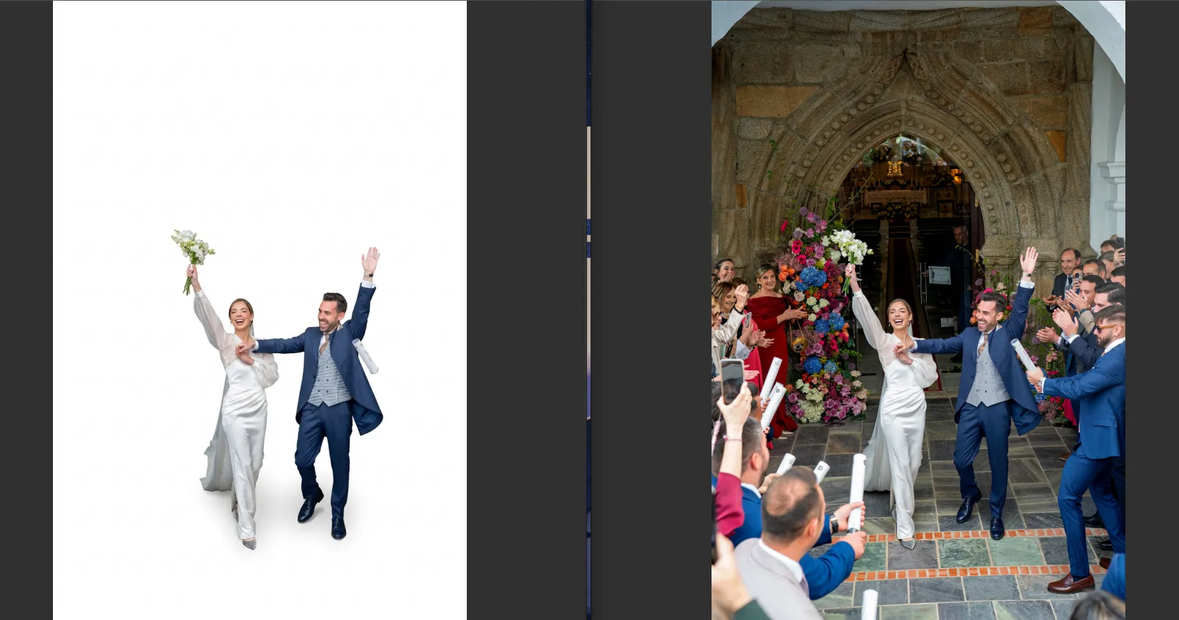 An example of how Gemini handles background removal