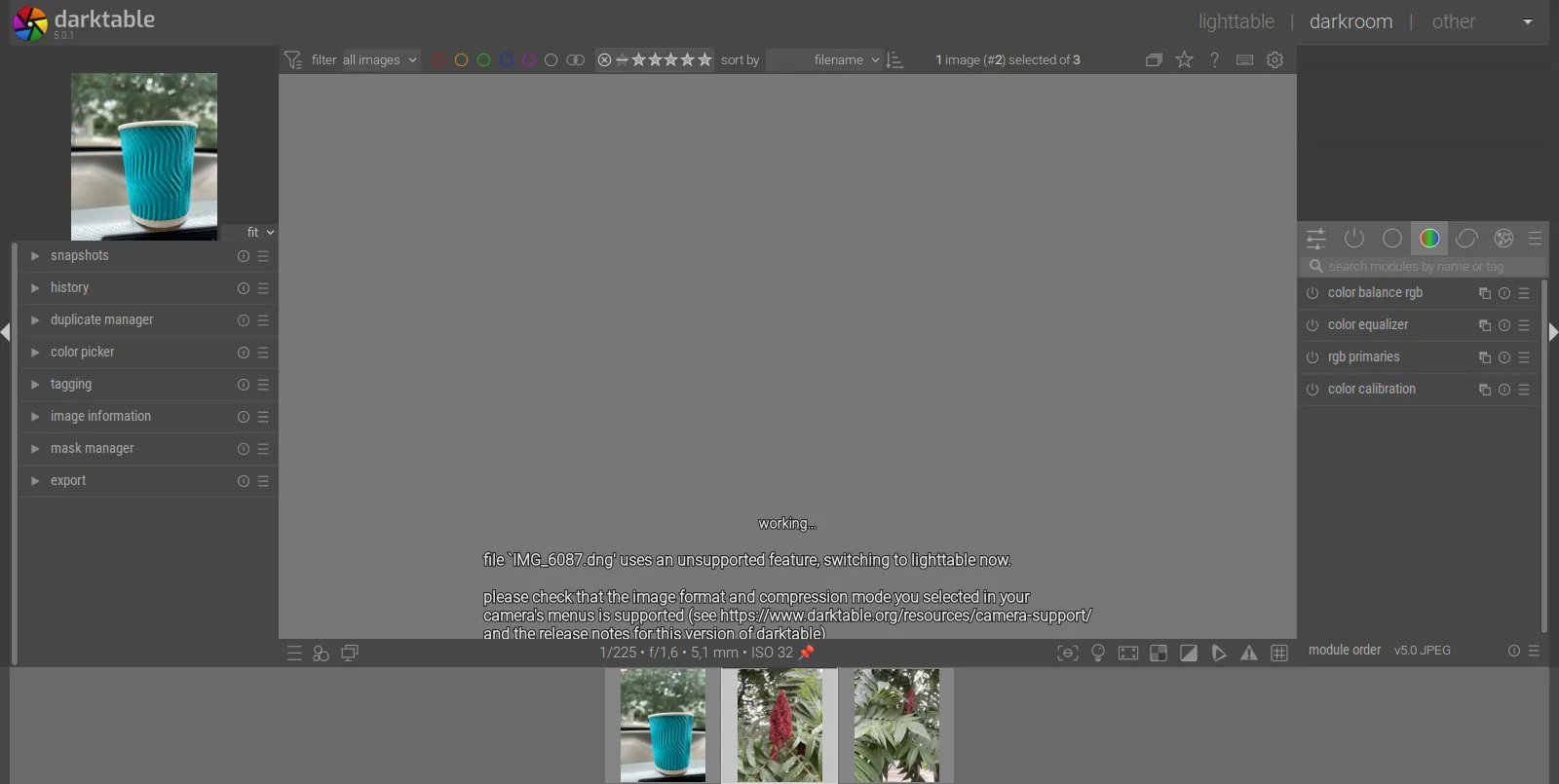 Opening dng in Darktable