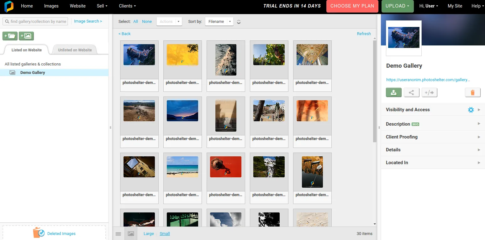 Uploading photos to the service for creating a photographer's portfolio PhotoShelter