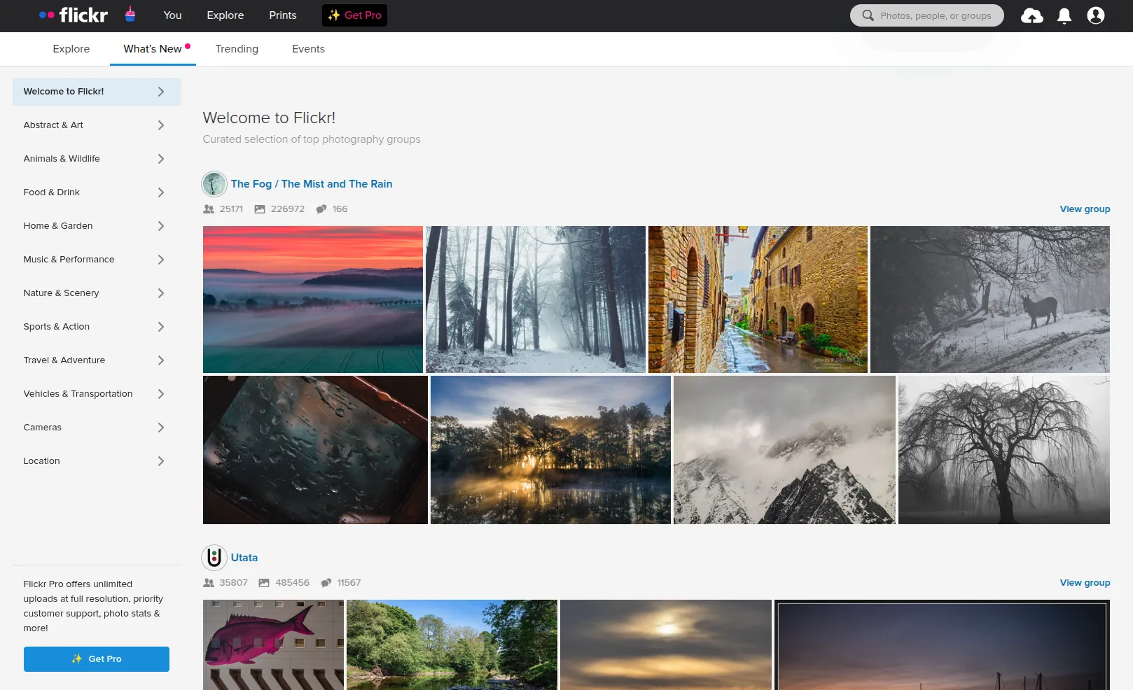 Flickr photo feed