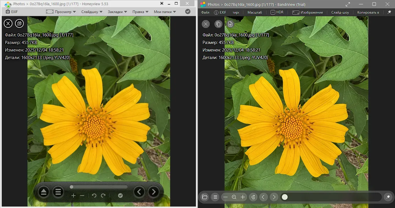 Écran de l'application HoneyView