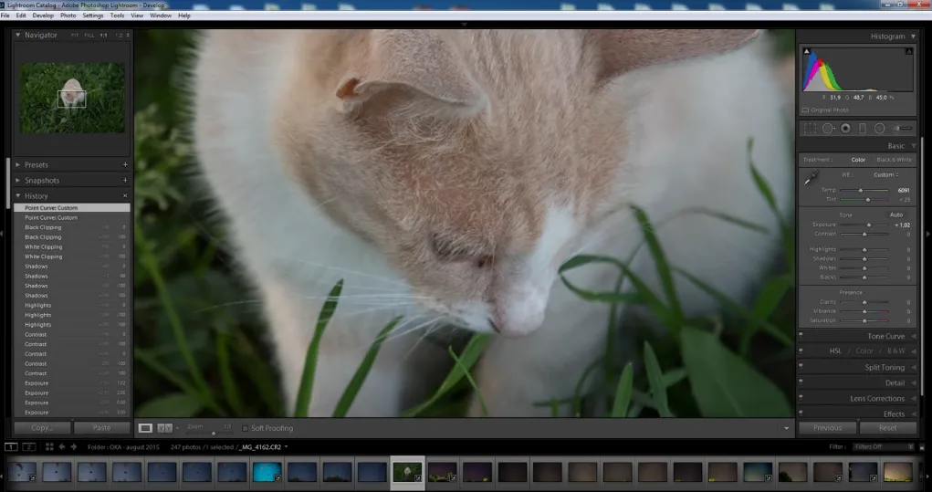 Кадр с видео «Lightroom с самого начала - #01 Основная коррекция изображения (Basic)» youtube -канала JMP Сhannel