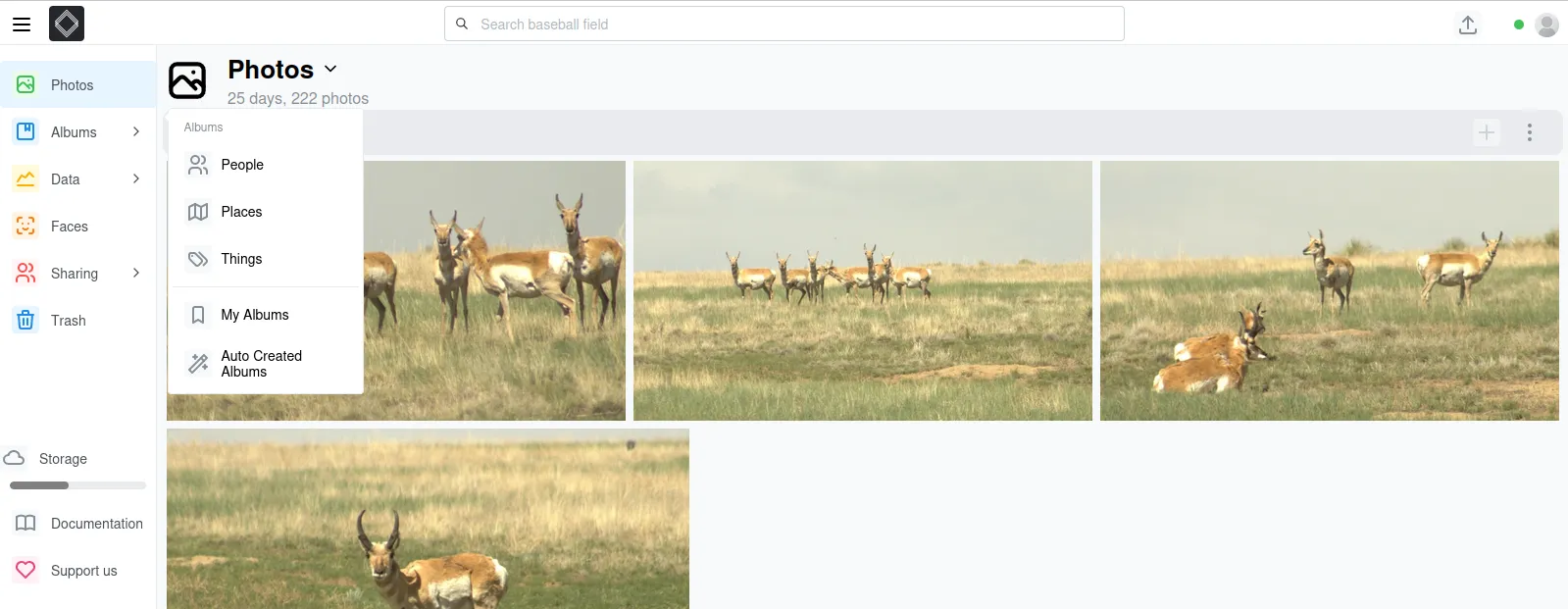 LibrePhotos – Hauptfenster