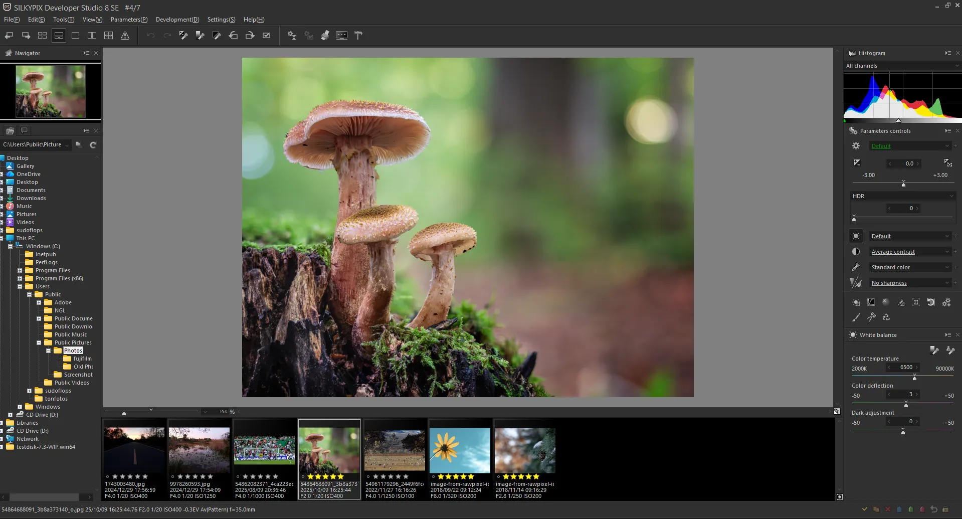 Benutzeroberfläche und Arbeitsbeispiel in SILKYPIX Developer Studio SE
