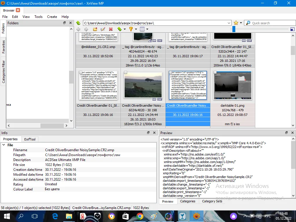 Как выглядят raw-файлы в XnView, которые не открылись для просмотра