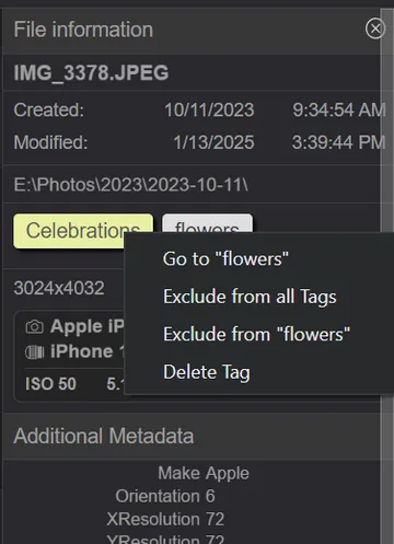 Albums and tags in the **File information** pane