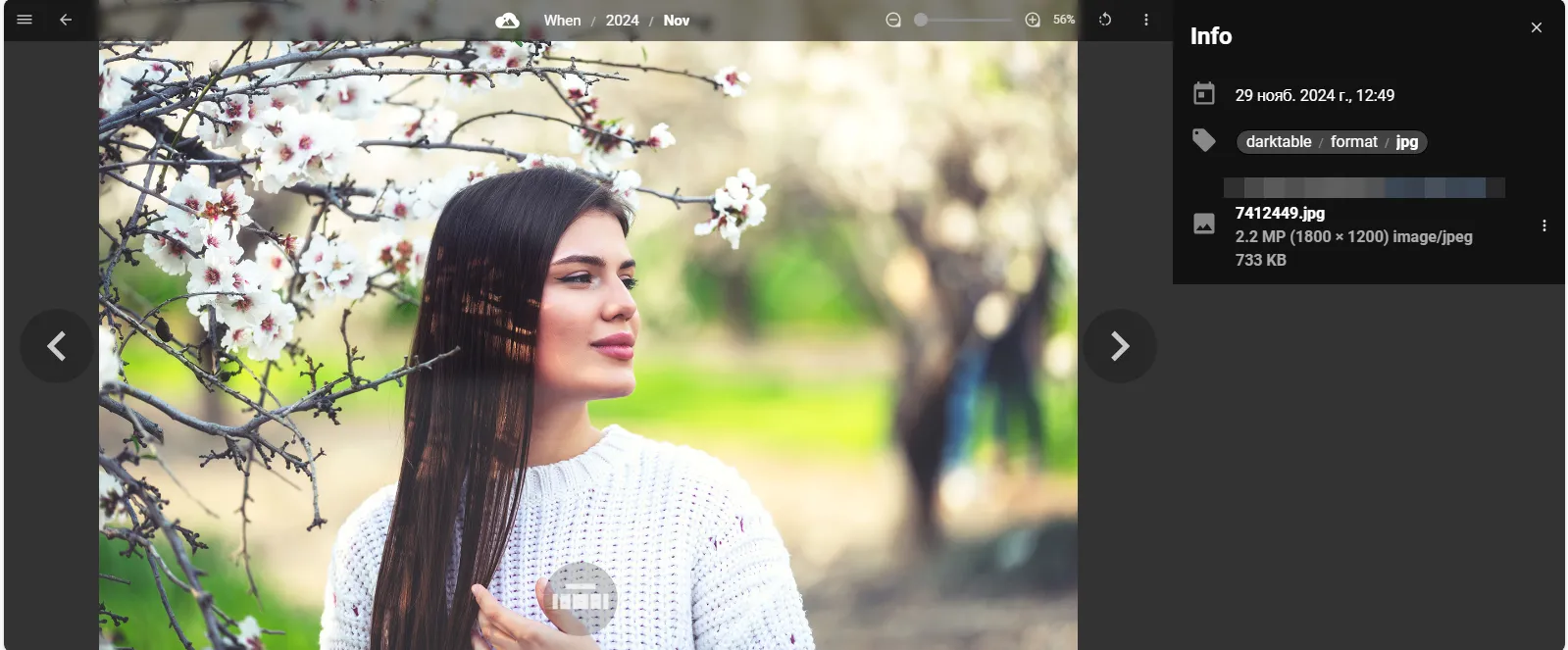 PhotoStructure – Photoview