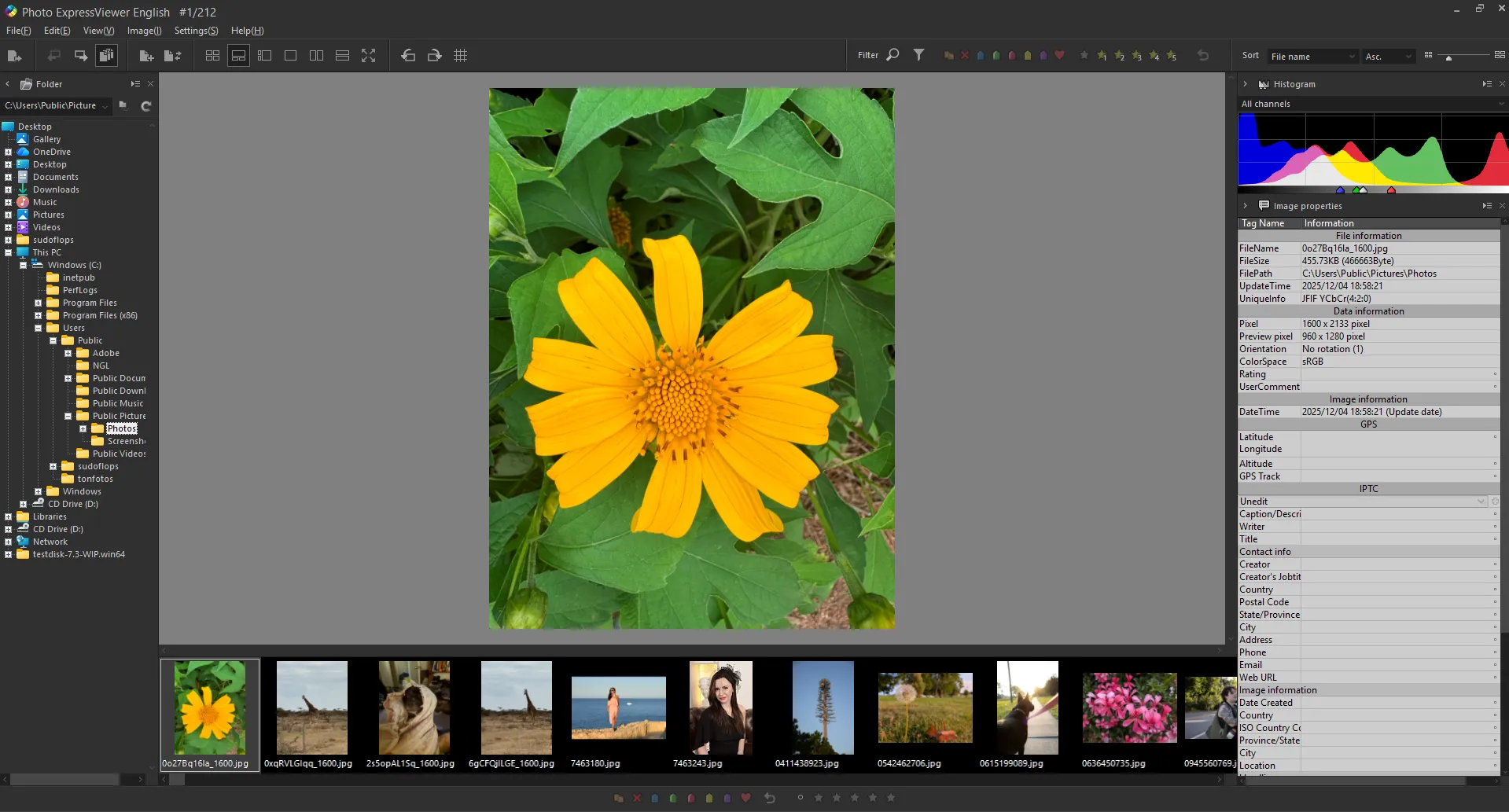 Photo ExpressViewer-Benutzeroberfläche