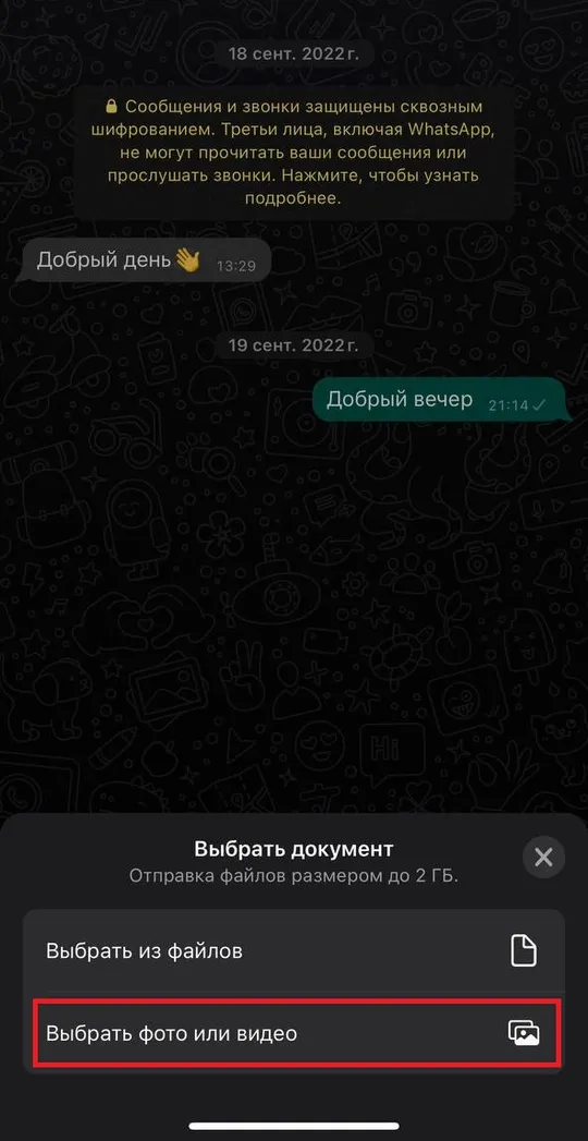 Пересылка фотографии без потери качества через WhatsApp