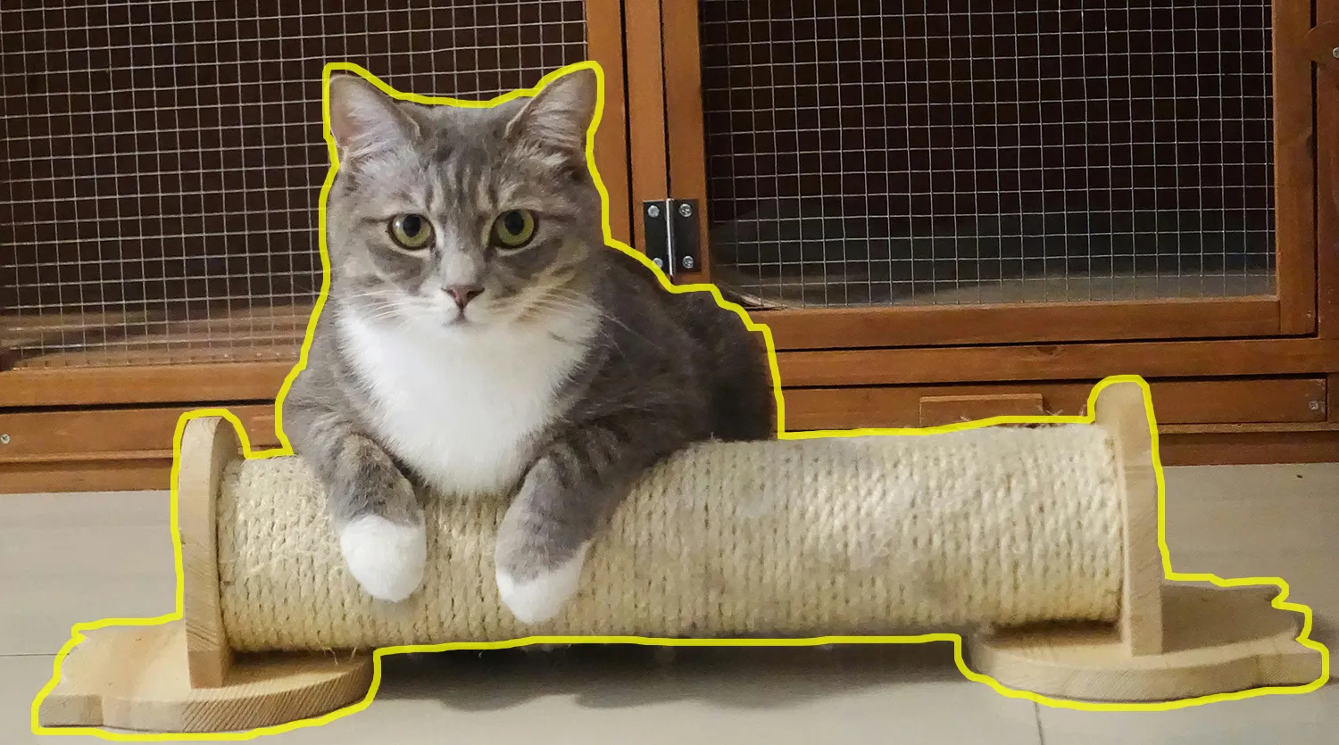 С помощью сегментации находим границы объектов на изображении