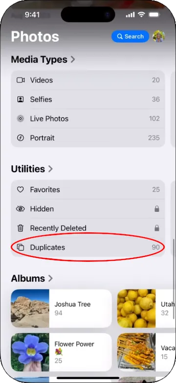 Doppelte Fotos in Fotos