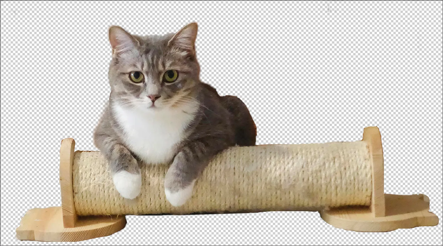 Результат удаления фона с помощью ИИ