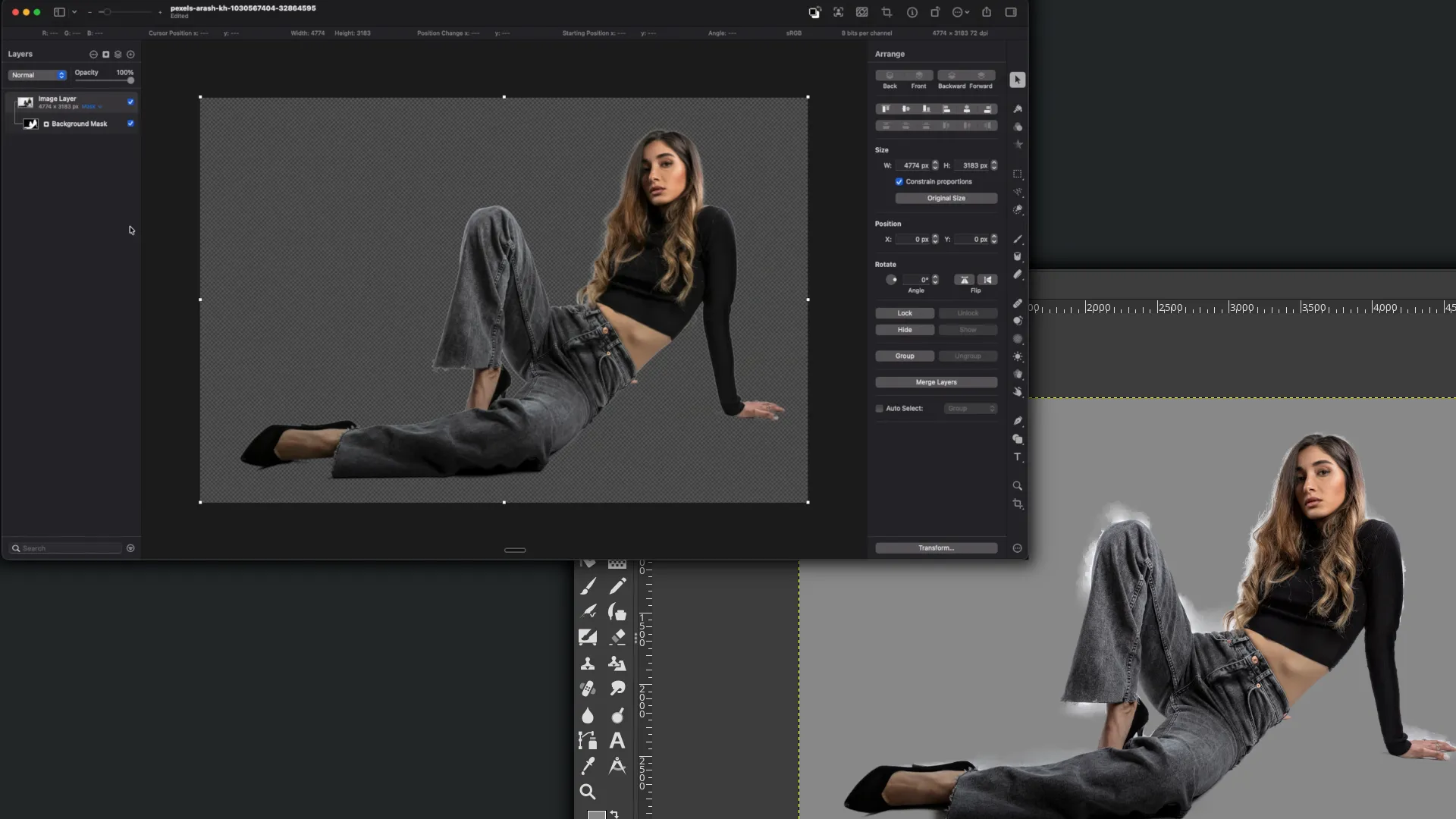 An example of selecting and removing the background in Pixelmator Pro and GIMP