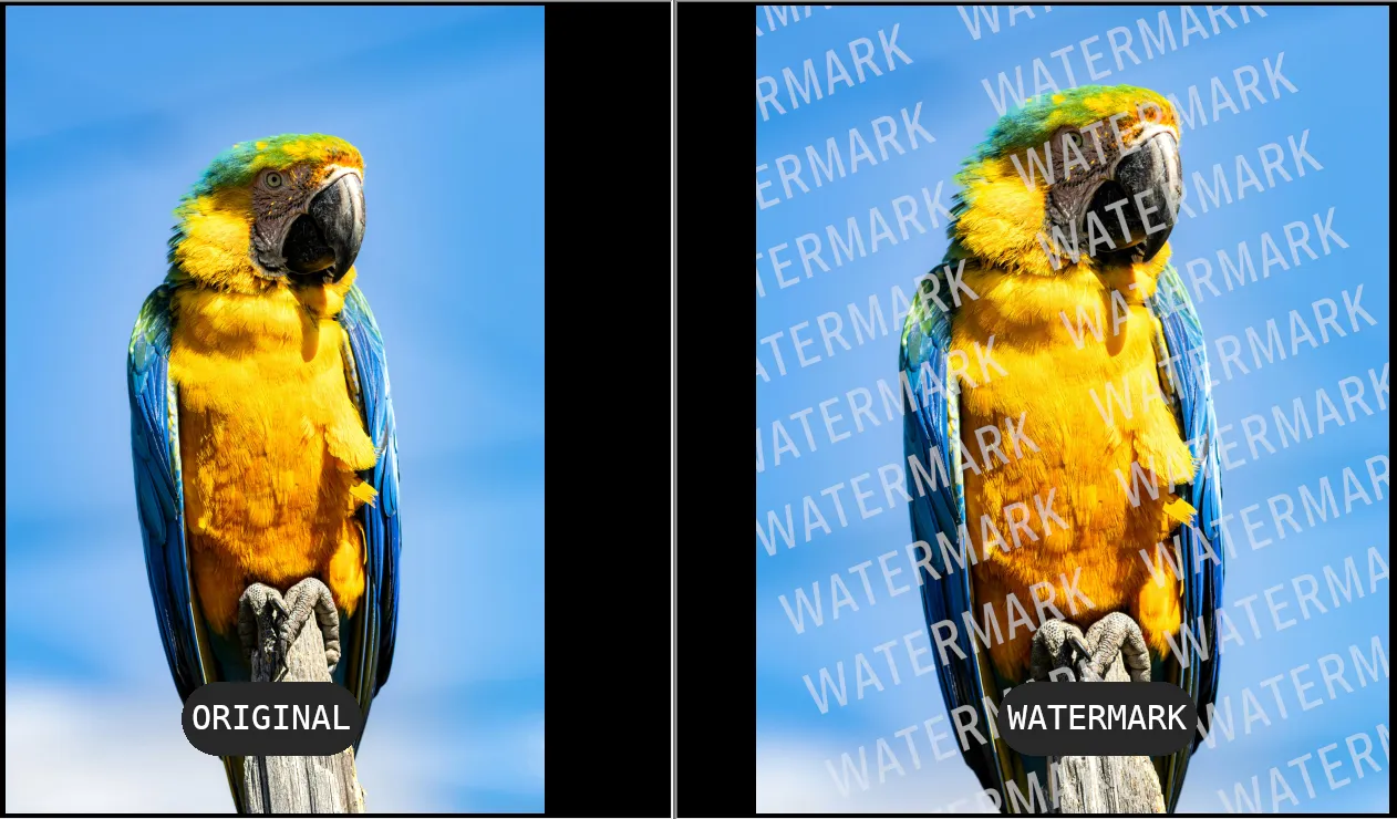 Pexels: Magalie Parise