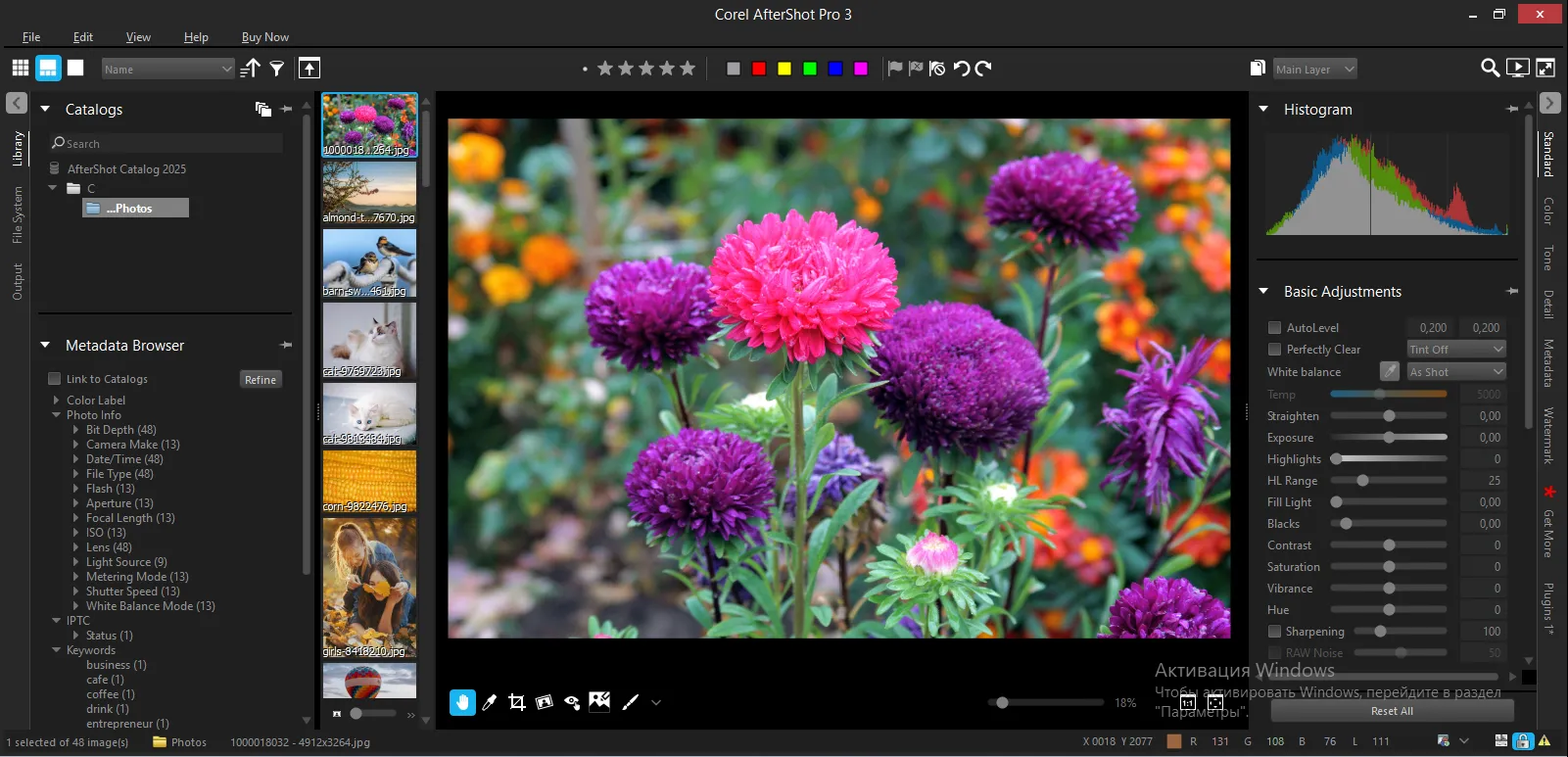 Corel AfterShot Pro interface appearance