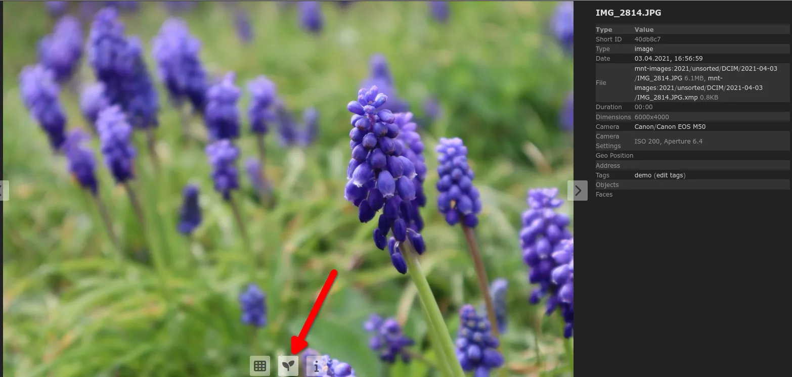 Home Gallery – Ähnliche Fotos finden