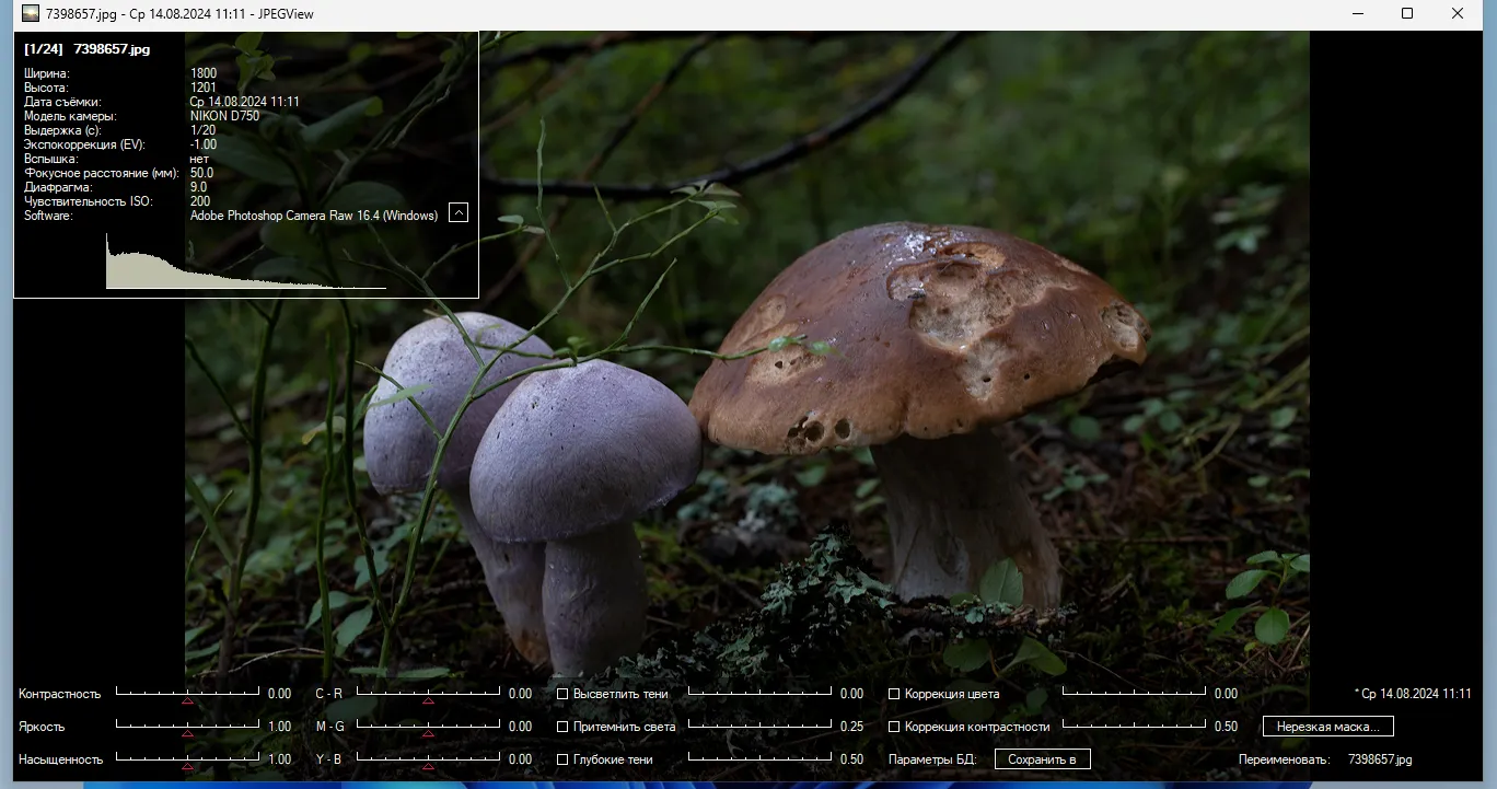 Экран приложения IrfanView