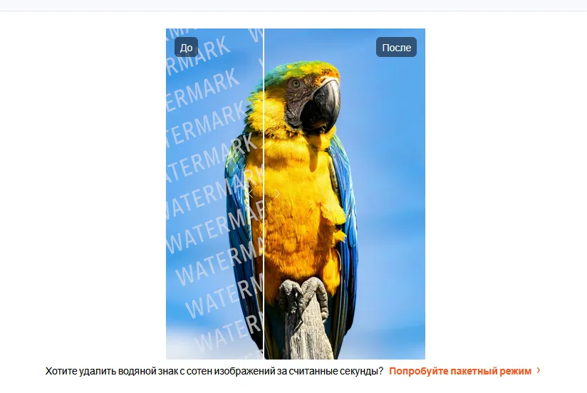 Пример работы сервиса по удалению водяных знаков Dewatermark.ai