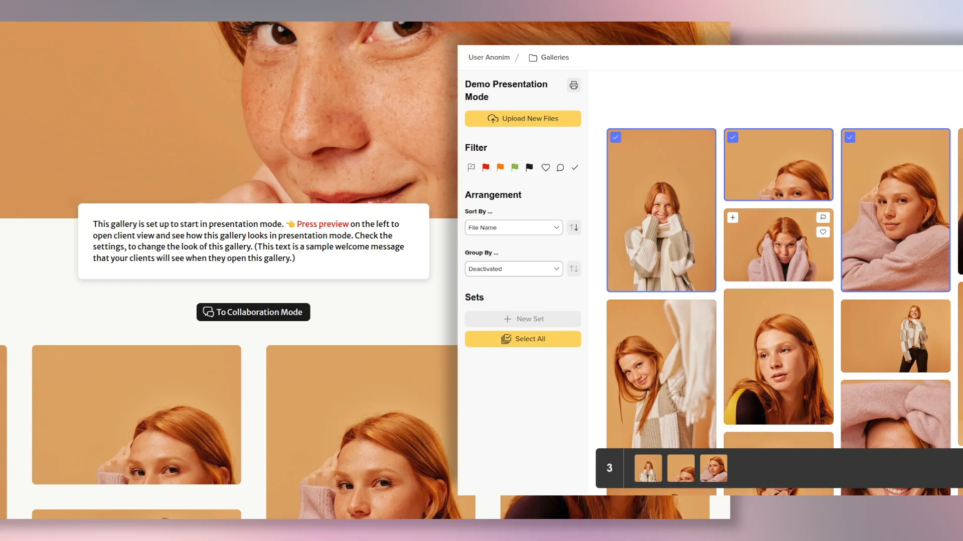 An example of a Picdrop ​​gallery display in presentation and collaboration mode