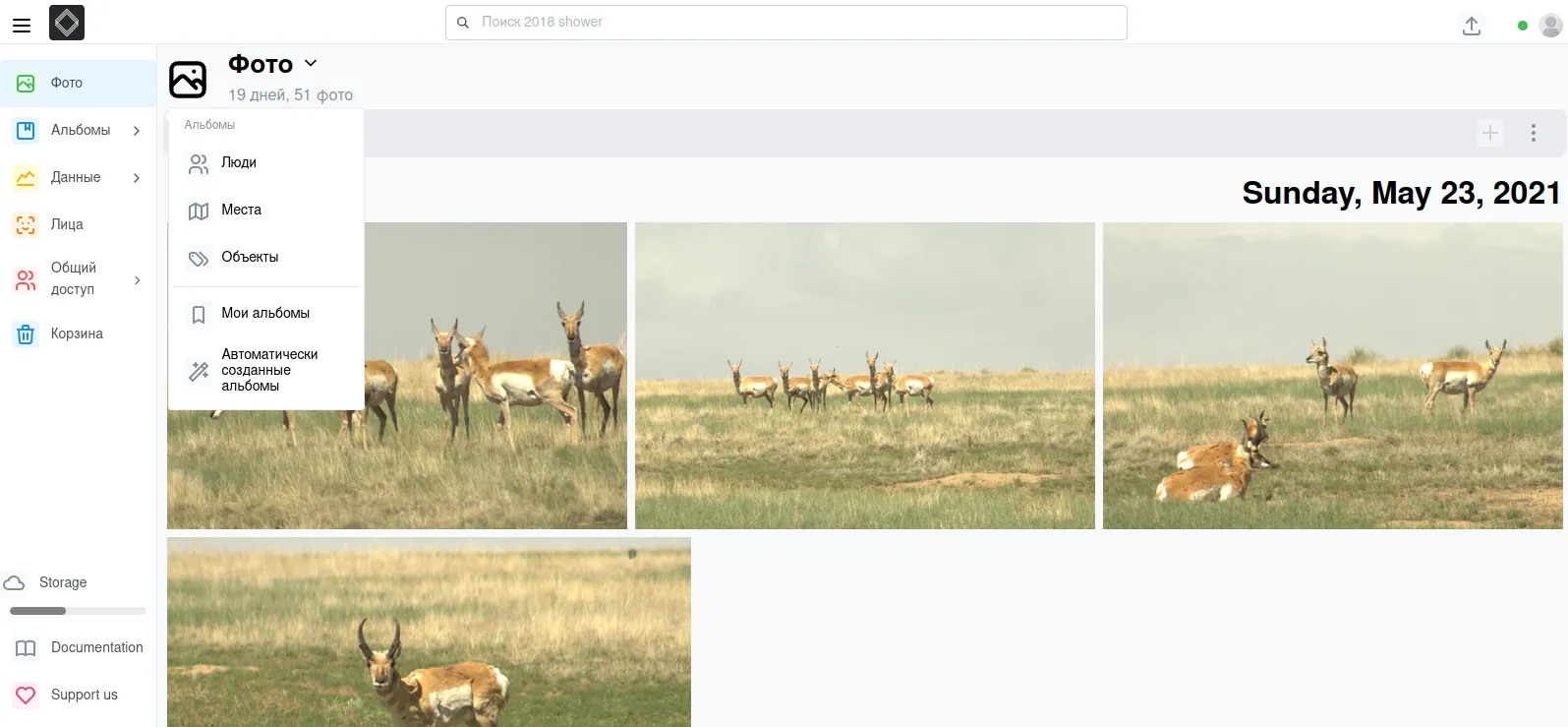 Главное окно серверной программы для хранения фотографий LibrePhotos