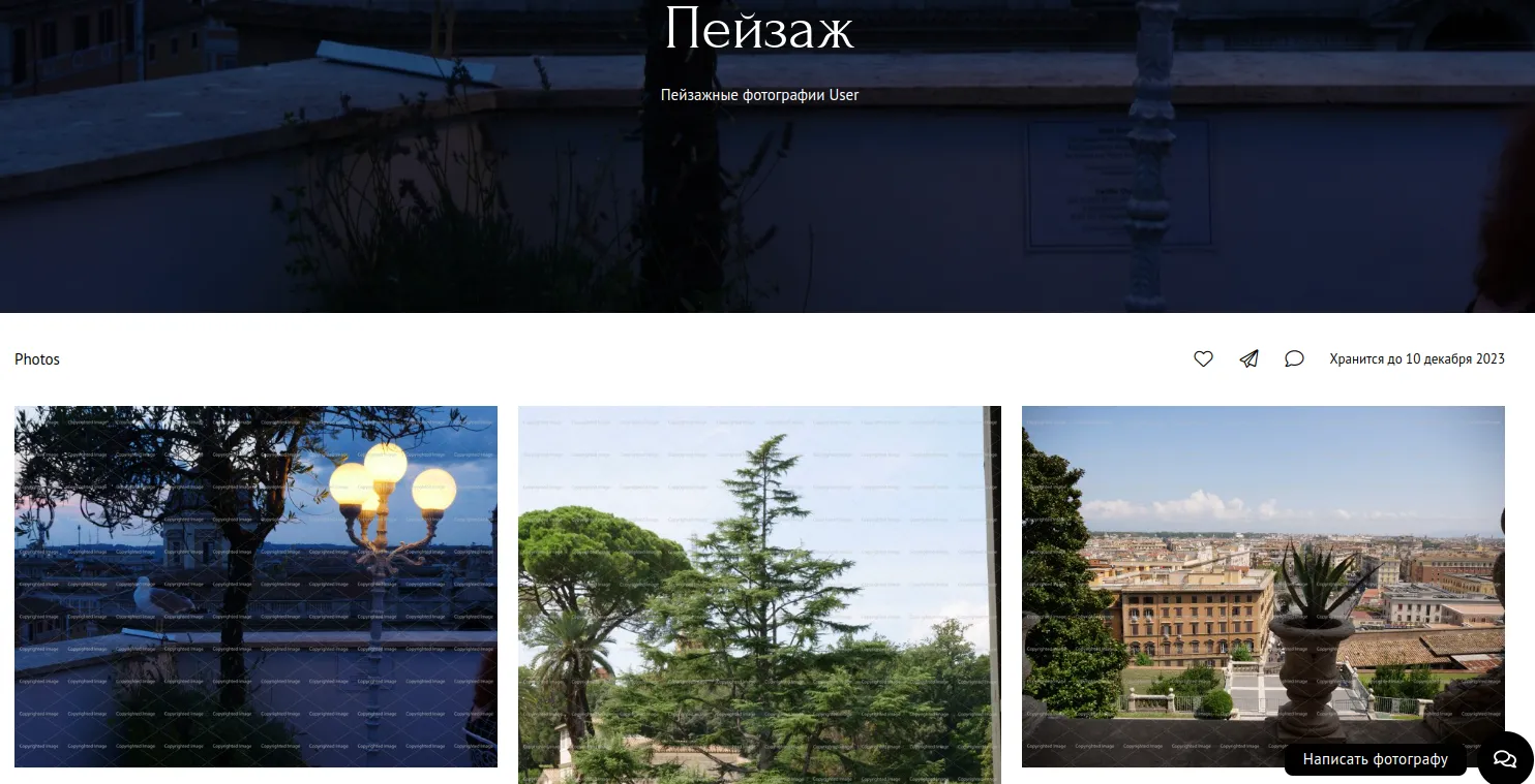 Пример страницы сайта фотографа на сервисе Wfolio