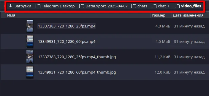 Расположение скачанных файлов с мессенджера Telegram