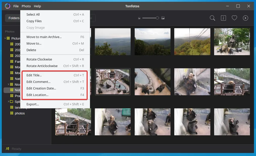 Функции редактирования метаданных фотографий в Tonfotos