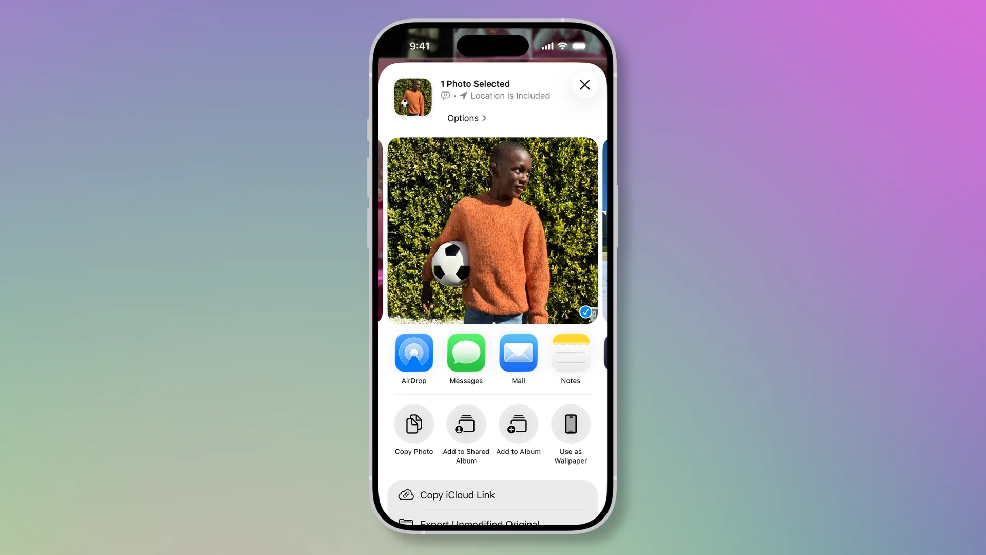 The dialog box for sending a photo in Apple Photos